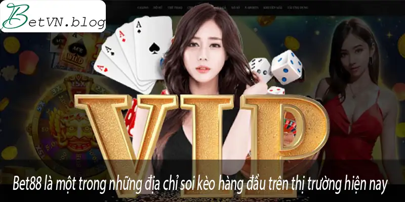 Bet88-dia-chi-soi-keo-noi-tieng