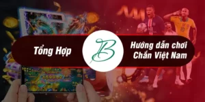 huong dan choi chan viet nam